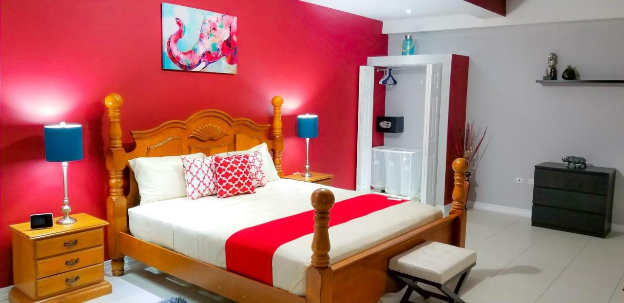 New Kingston Guest Apartments @ Donhead Extérieur photo